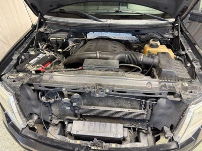 2013 Ford F-150 Platinum