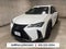 2019 Lexus UX F SPORT